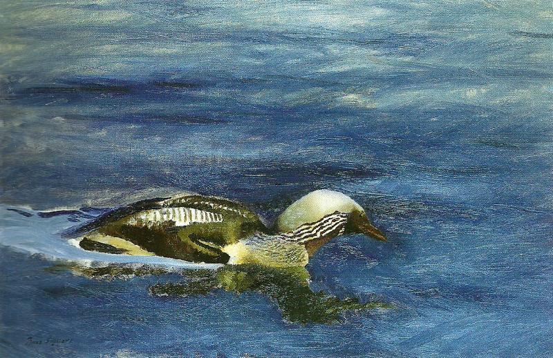 bruno liljefors simmande lom oil painting image
